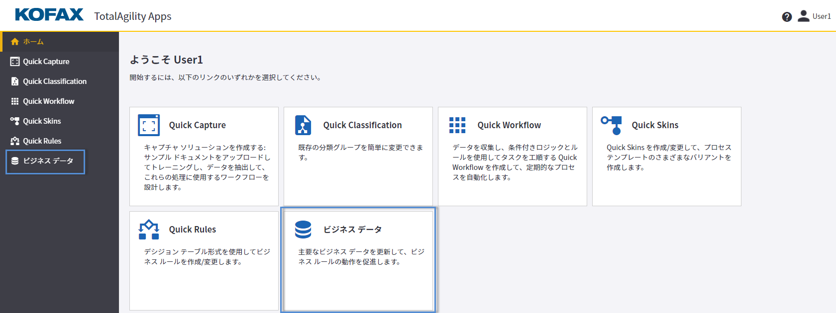 TotalAgility の Quick Skins